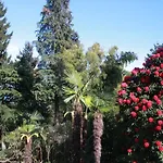 アパート La Camelia D'oro *