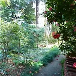 La Camelia D'oro オッジェッビオ