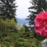 La Camelia D'oro オッジェッビオ