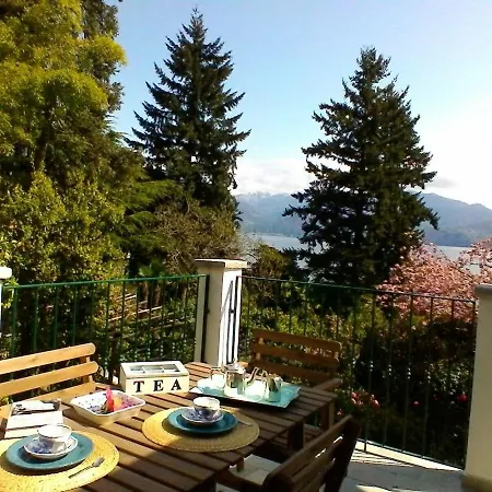 La Camelia D'oro Оджеббио