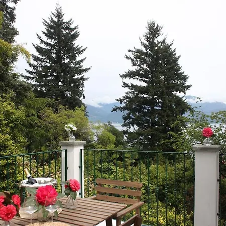 La Camelia D'oro Оджеббио