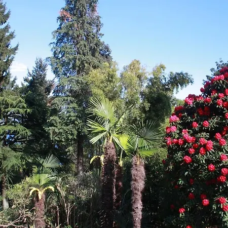 Апартаменты La Camelia D'oro *