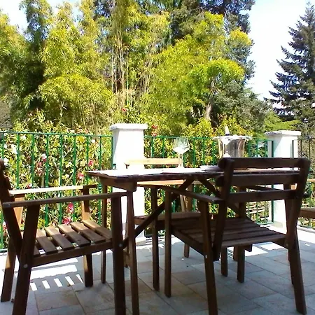 La Camelia D'oro Оджеббио