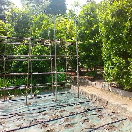 La Camelia D'oro Апартаменты *