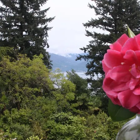 La Camelia D'oro Оджеббио